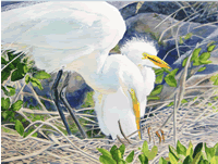 Painting of nesting egret with chick